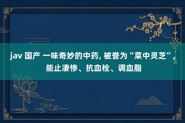 jav 国产 一味奇妙的中药， 被誉为“菜中灵芝”， 能止凄惨、抗血栓、调血脂