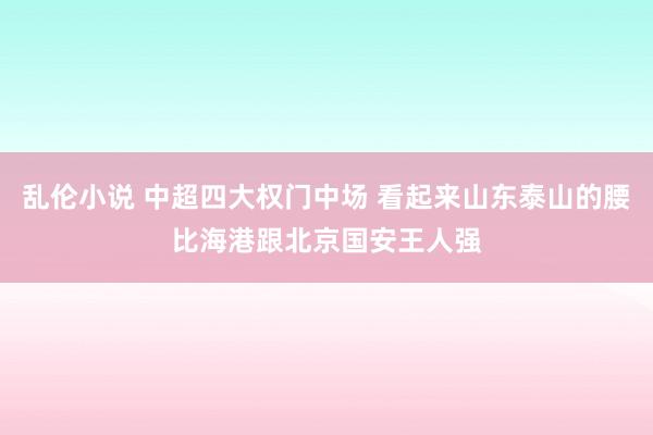 乱伦小说 中超四大权门中场 看起来山东泰山的腰比海港跟北京国安王人强