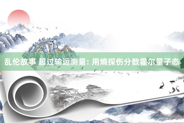 乱伦故事 超过输运测量: 用熵探伤分数霍尔量子态