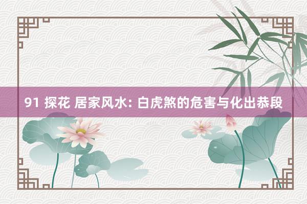 91 探花 居家风水: 白虎煞的危害与化出恭段